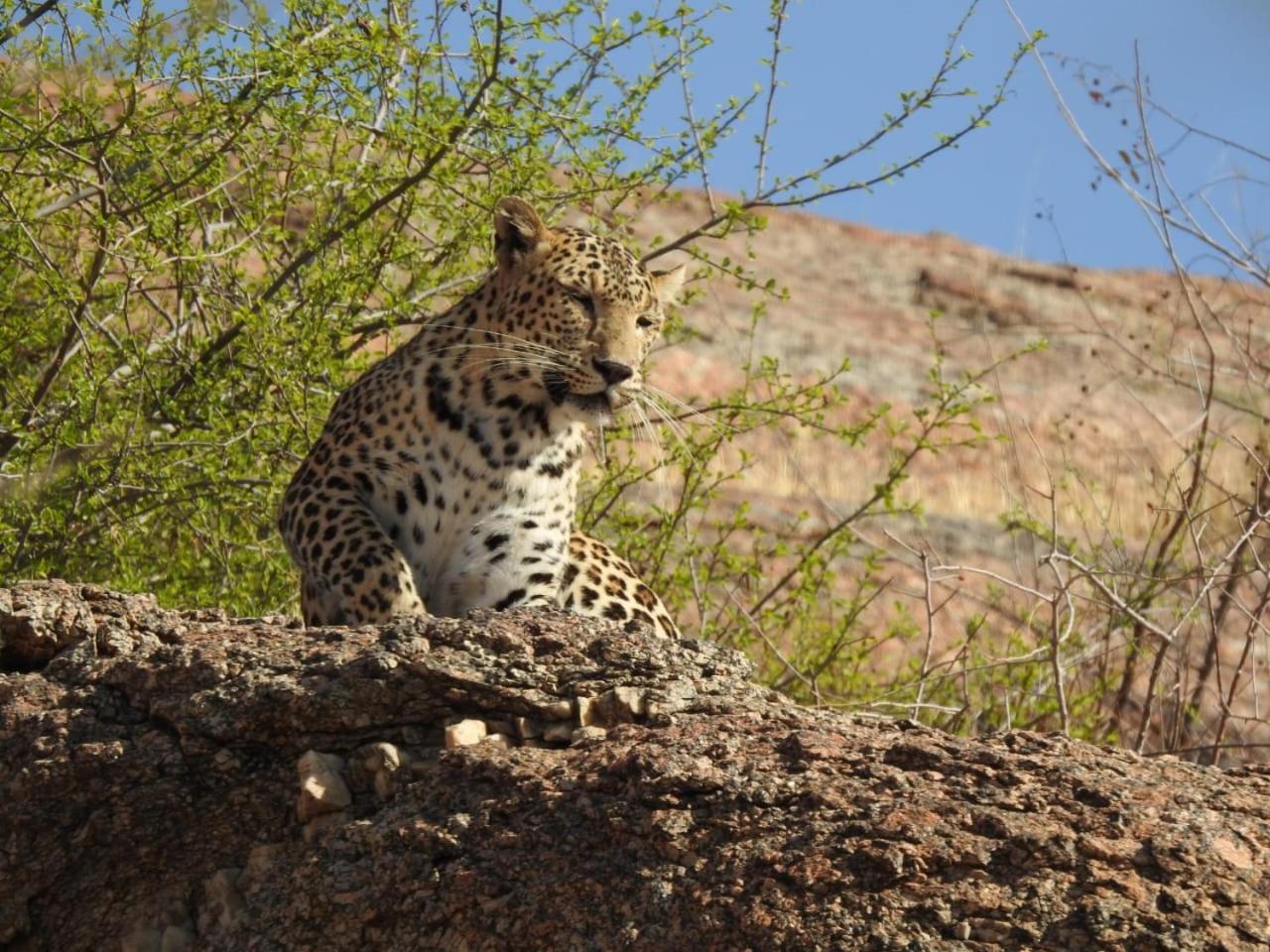 Jawai Empire Resort By Premier Hotels Pāli エクステリア 写真
